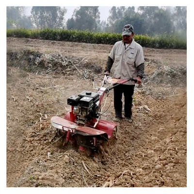 Xinniu Farm Machine Mini Power Tiller con motore a benzina versatile e utensili rotanti