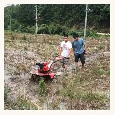Mini Tiller a benzina a potenza con raccolto rotativo leggero e capacità di carico di 65 kg