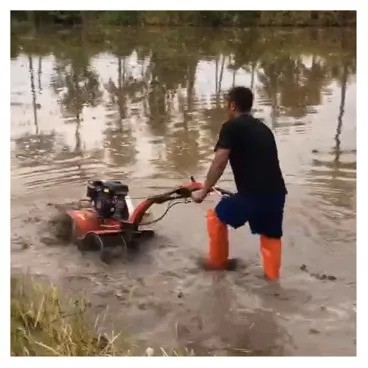 Mini Tiller a benzina a potenza con raccolto rotativo leggero e capacità di carico di 65 kg