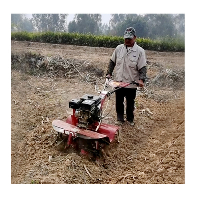 15-35 cm di larghezza di rivestimento Mini Tiller per macchine di rivestimento e macchine agricole