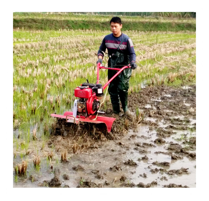 Trattore a motore a benzina e Tiller rotativo per Mini Power Tiller