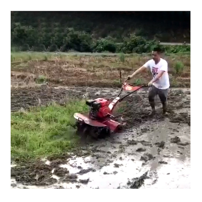 160*62*108cm Trattore e Tiller rotativo per i vostri bisogni agricoli
