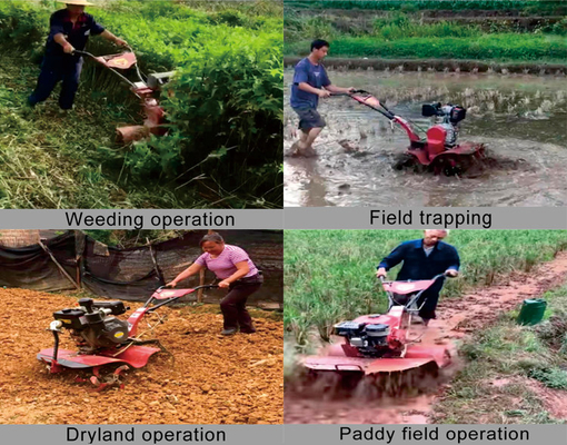 Coltivazione con elevato livello di sicurezza 7HP Mini Power Tiller Rotary Tiller Machine Type