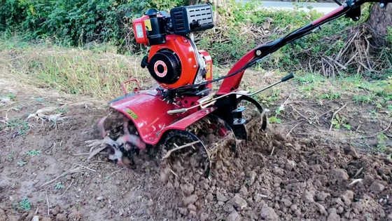 186F Motore diesel Mini Power Tiller Cultivator per macchine agricole