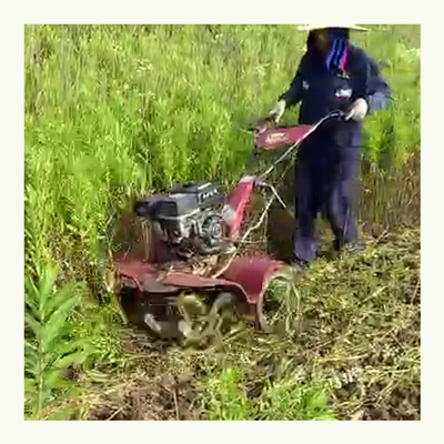 Durabile 170F Motore a benzina a quattro ruote motrici Agricoltore per campi di riso e terra asciutta 65 KG