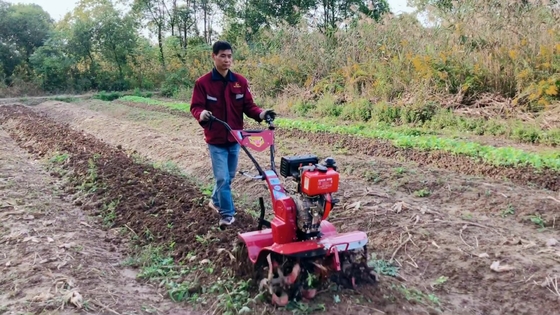 Potente 186F motore diesel a quattro ruote motrici Mini Power Tiller Cultivator per il mercato