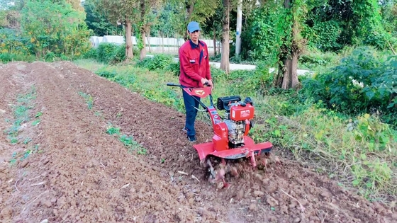 186F Motore diesel a quattro ruote motrici Mini Power Tiller Cultivator per l'efficienza agricola