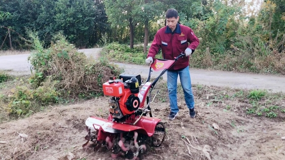 186F Motore diesel a quattro ruote motrici Mini Power Tiller Cultivator per l'efficienza agricola
