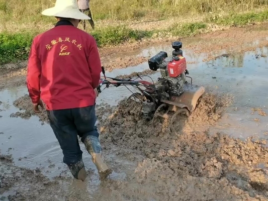Apparecchiature per macchine agricole Modello 186F 192F Mini Tiller pesante per terreni duri