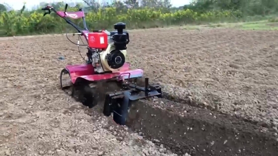 Apparecchiature per macchine agricole Modello 186F 192F Mini Tiller pesante per terreni duri