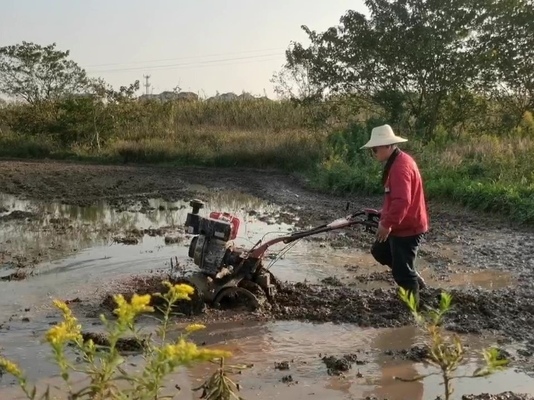 Apparecchiature per macchine agricole Modello 186F 192F Mini Tiller pesante per terreni duri