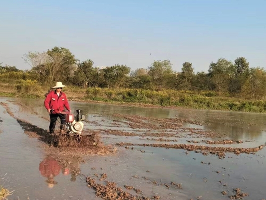 Apparecchiature per macchine agricole Modello 186F 192F Mini Tiller pesante per terreni duri