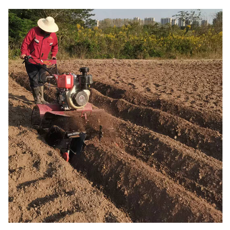 Mini Tiller a quattro ruote a trazione diretta La soluzione agricola definitiva per l'acquirente B2B