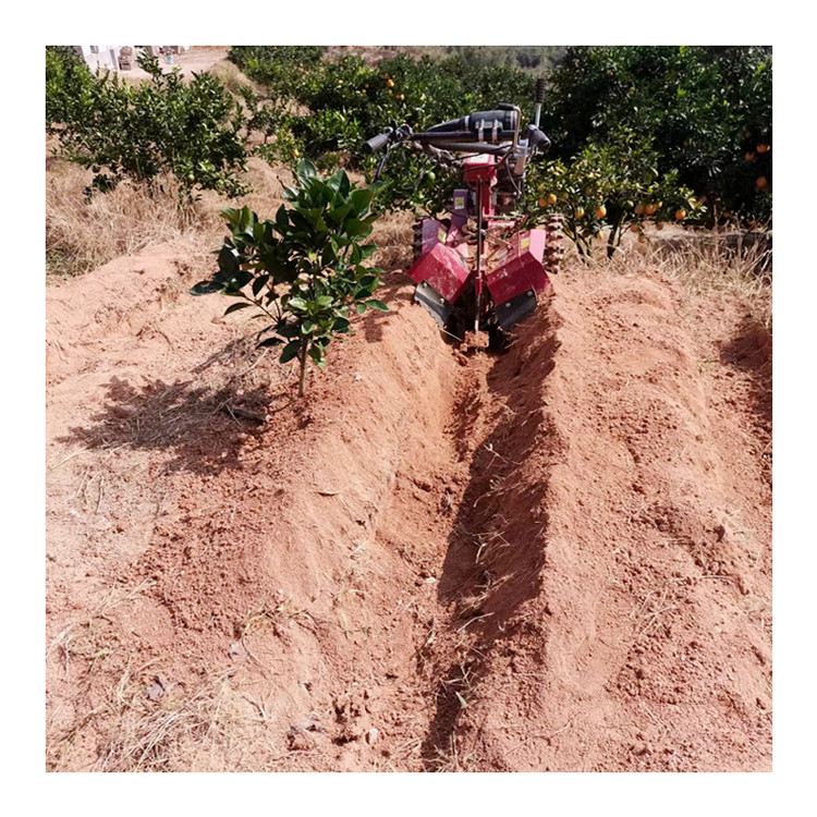 Produttore di frutti di frutta Tiller Motore a benzina Mini Trencher Ditching Machine per giardino