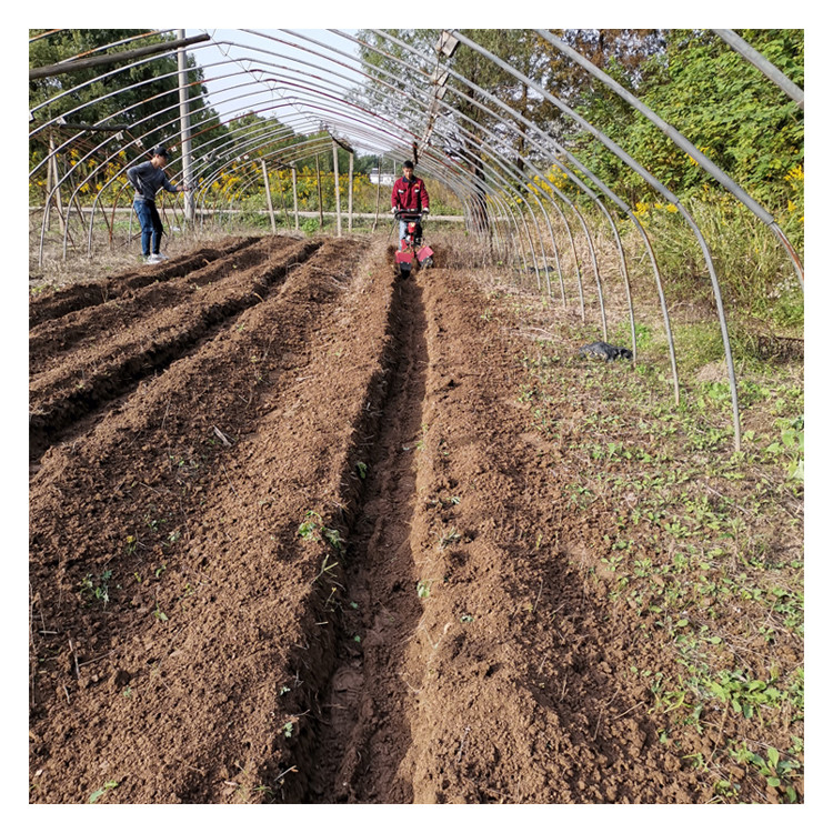 4KM/h Velocità di lavoro Motore a benzina Mini Power Tiller Power Weeder Rotavator Cultivator