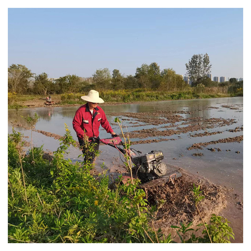 Alto livello di sicurezza 4WD Paddy Field Tilling Light 170F Cultivator Top Choice per gli agricoltori