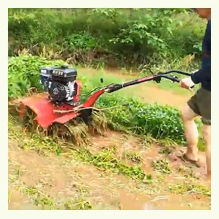 170F 7HP 4.05KW Trasmissione manuale di ingranaggi Avviare Mini Power Tiller con elevato livello di sicurezza